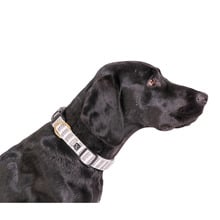Latte Mosaic Hemp Dog Collar